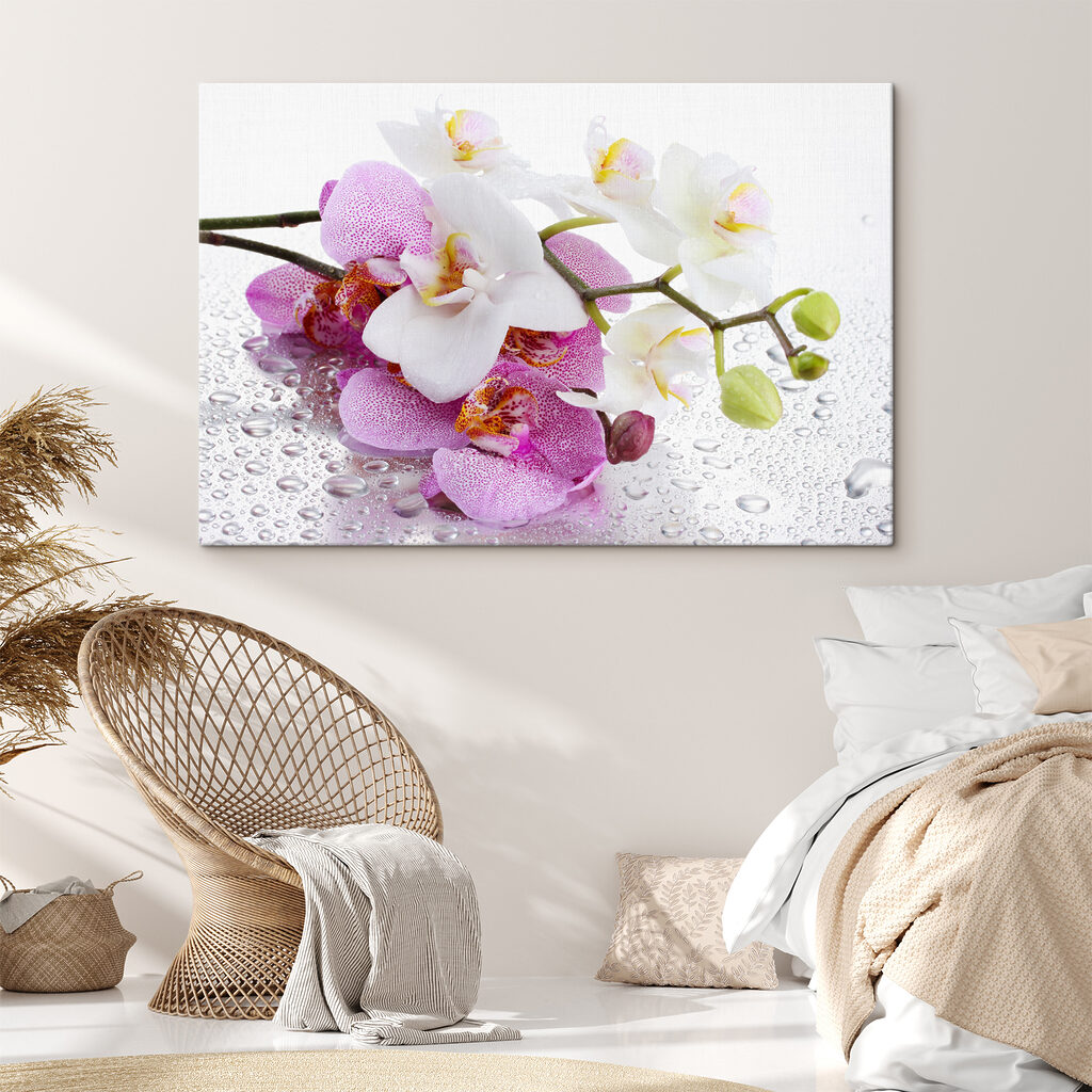 Orchideák harmatcseppekkel — lakásbelső 4