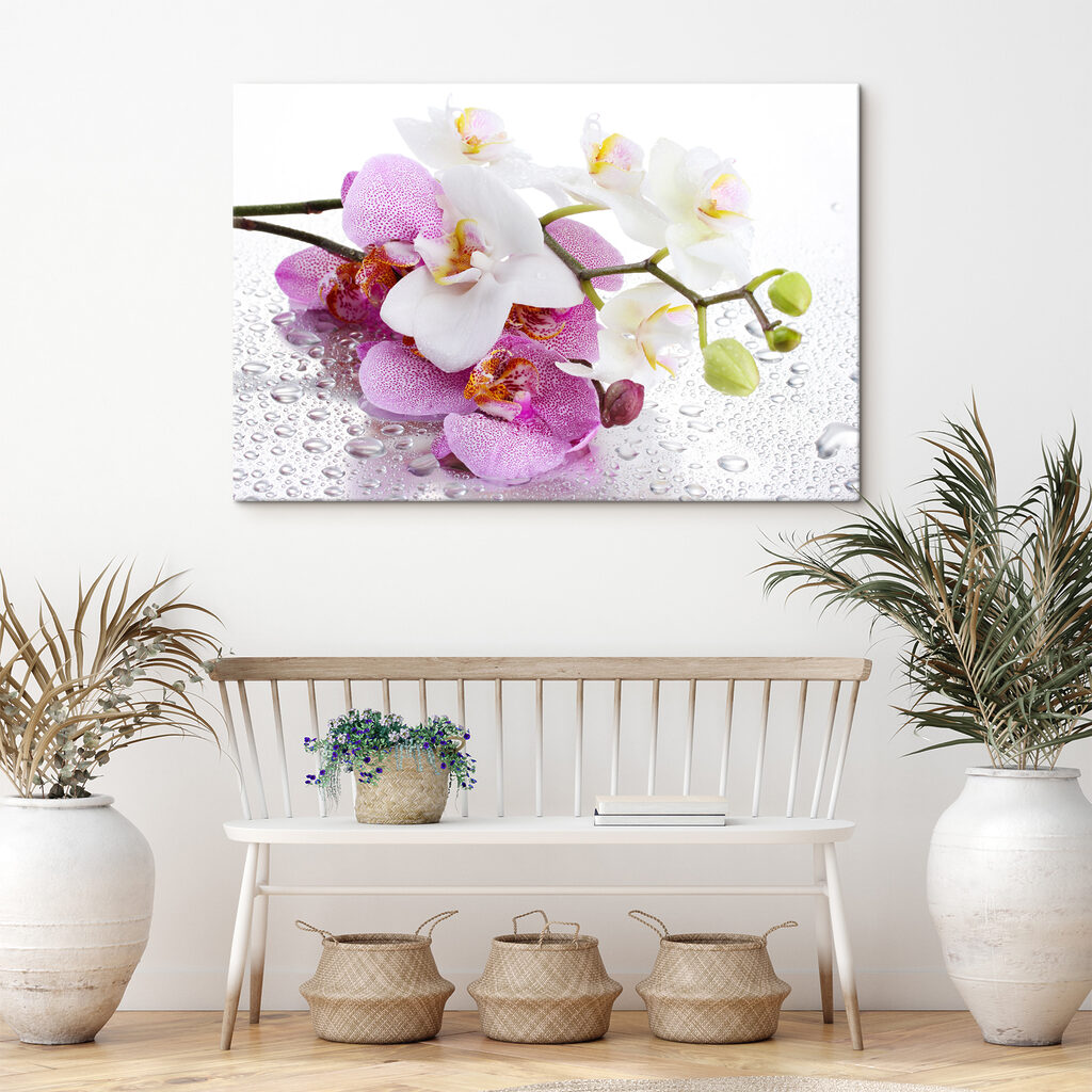 Orchideák harmatcseppekkel — lakásbelső 5