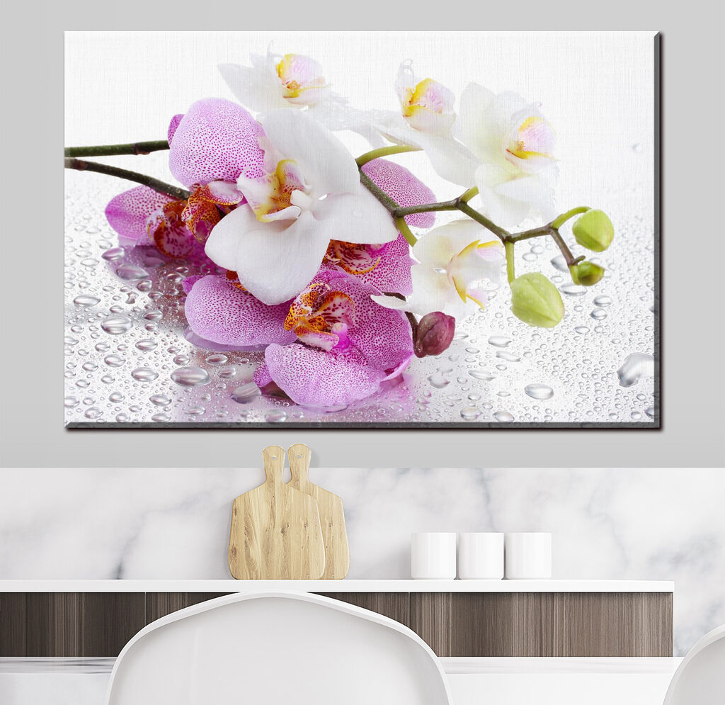 Orchideák harmatcseppekkel — lakásbelső 1