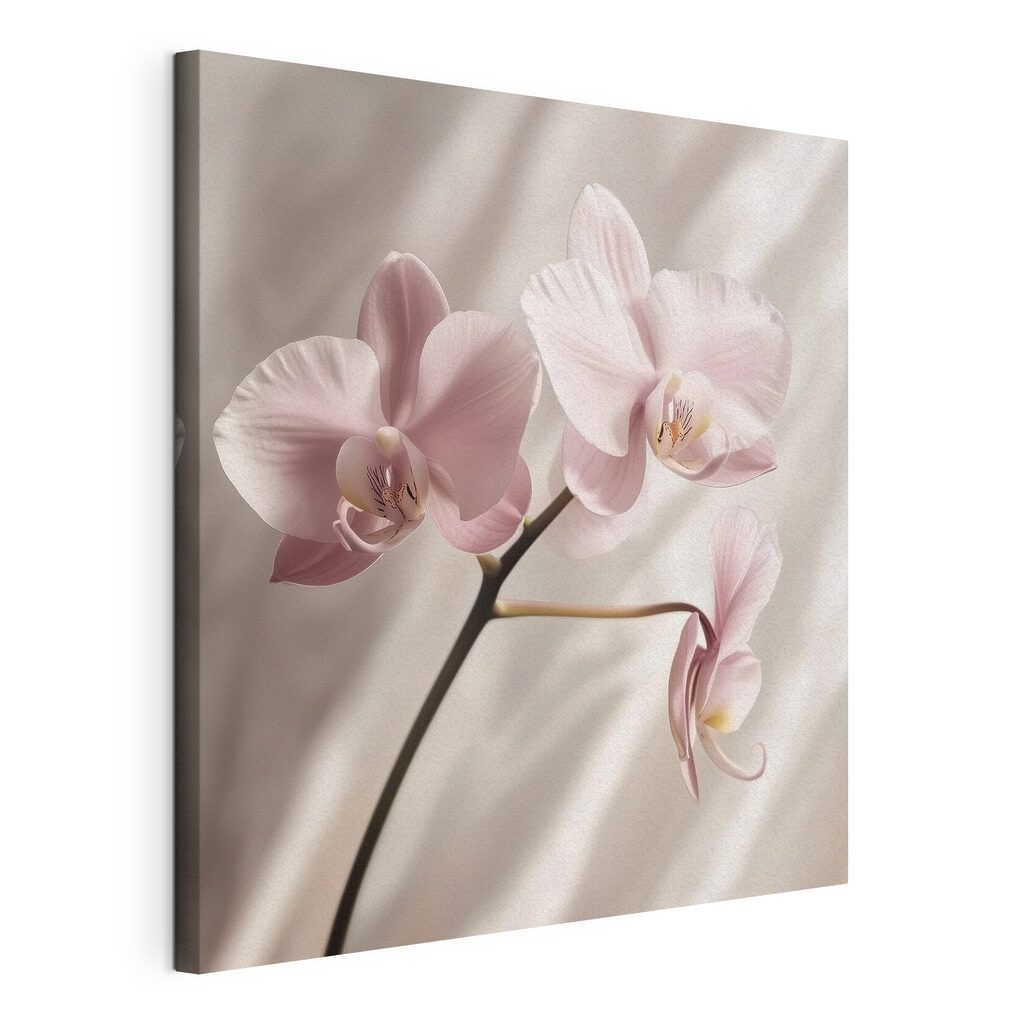 Rózsaszín orchidea függönyredőkkel, kifeszített vászon körbefutó széllel