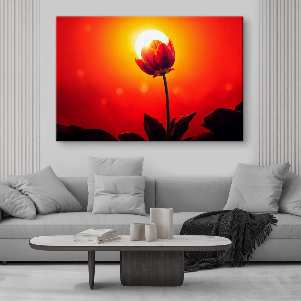 Piros tulipán napfényben — lakásbelső 2