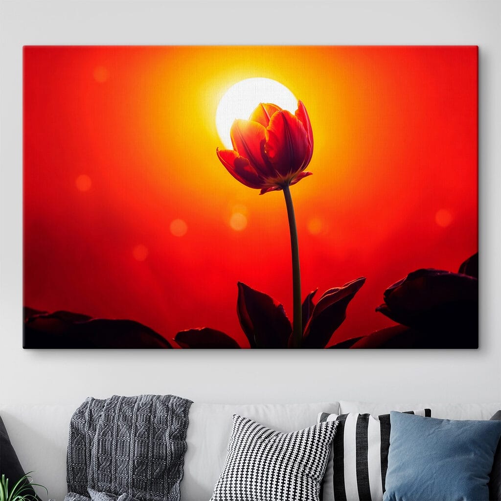 Piros tulipán napfényben — lakásbelső 1