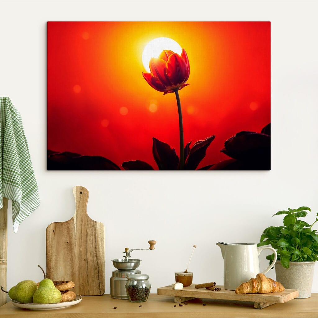 Piros tulipán napfényben — lakásbelső 4