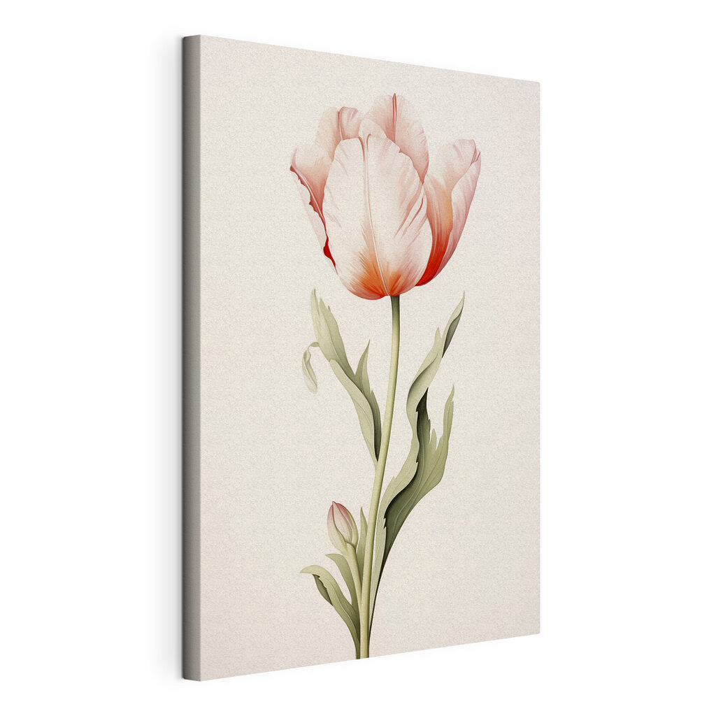 Halvány rózsaszín tulipán, kifeszített vászon körbefutó széllel