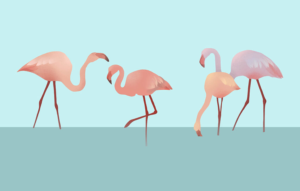 Flamingók türkizen — teljes motívum