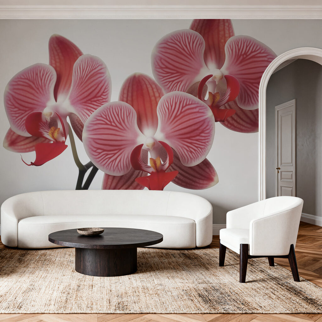 Rózsaszín orchidea — lakásbelső 1