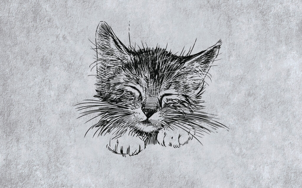 Álmos macska — teljes motívum