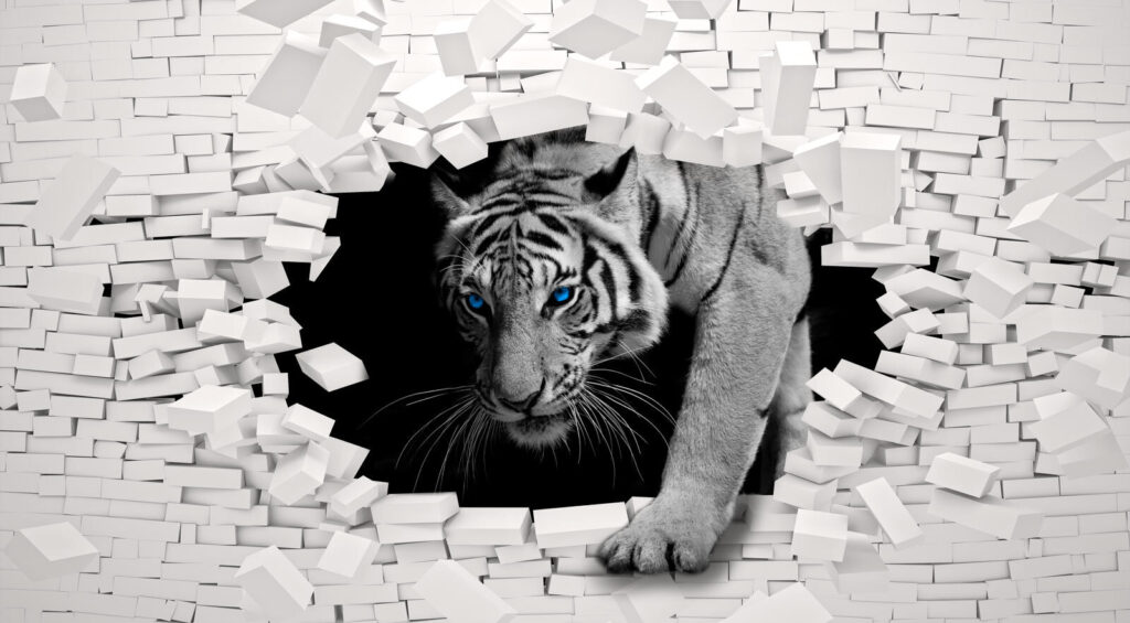 Fehér tigris téglán át — teljes motívum