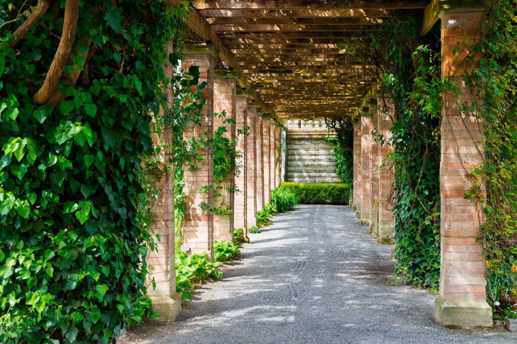 Ösvény pergola alatt — teljes motívum
