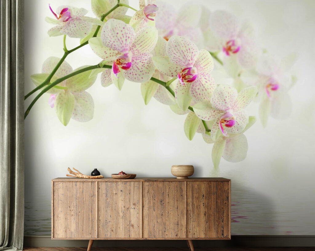 Világos orchidea vízhullámok felett — lakásbelső 2