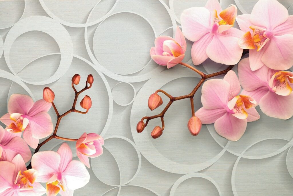 Rózsaszín orchidea körök között — teljes motívum
