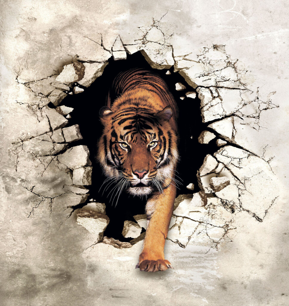 Tigris a falon át — teljes motívum