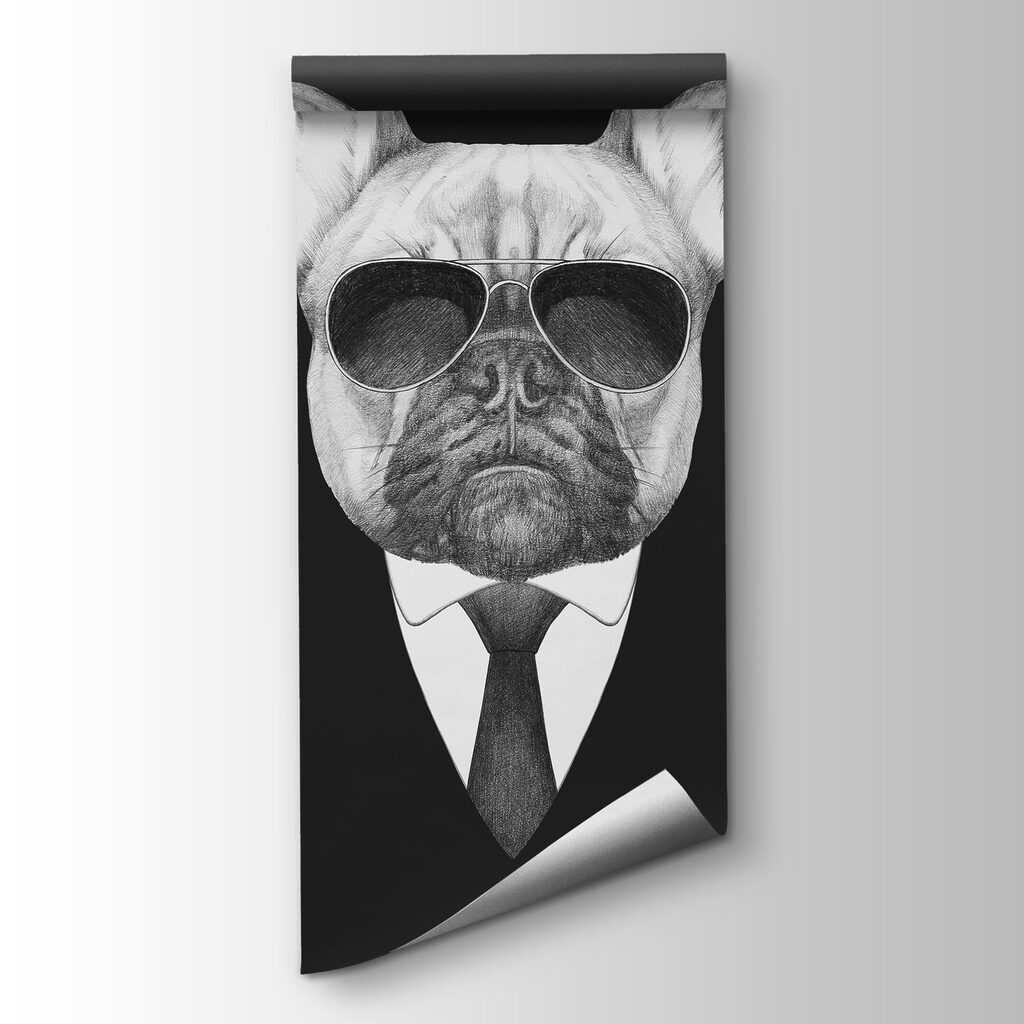 Buldog öltönyben — termékábrázolás
