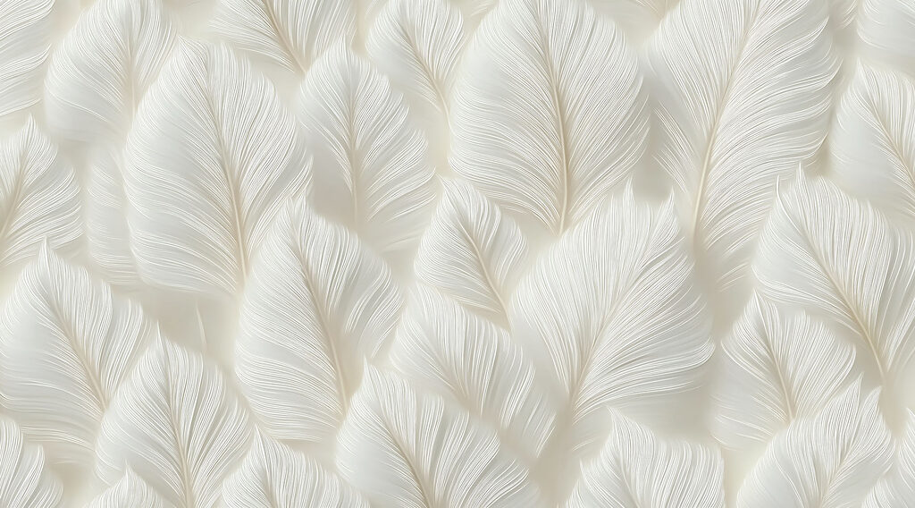 Fehér tollak reggeli fényben — teljes motívum
